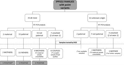 Frequency of de novo variants and parental mosaicism in families with inactivating PTH/PTHrP signaling disorder type 2